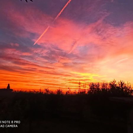 Le Zampolle B & B Colà Dış mekan fotoğraf