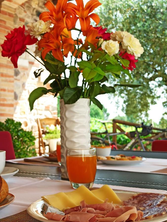 Le Zampolle B & B Colà Dış mekan fotoğraf