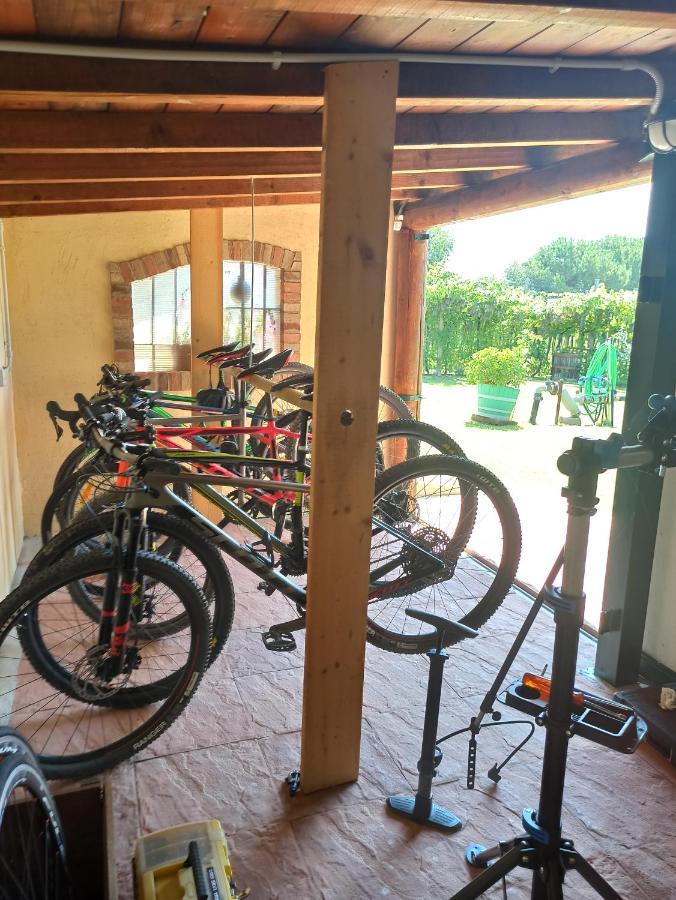 Le Zampolle B & B Colà Dış mekan fotoğraf