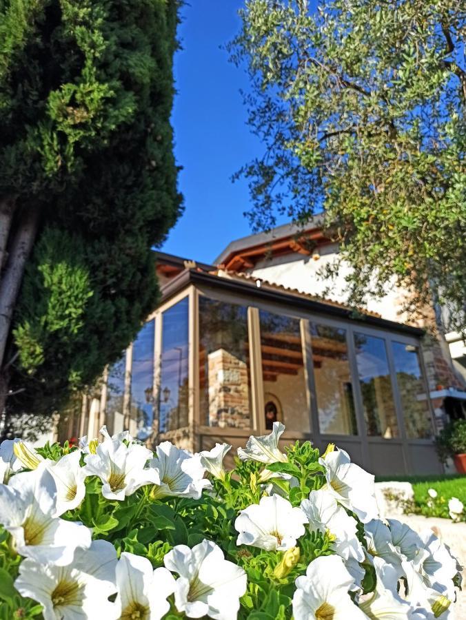 Le Zampolle B & B Colà Dış mekan fotoğraf
