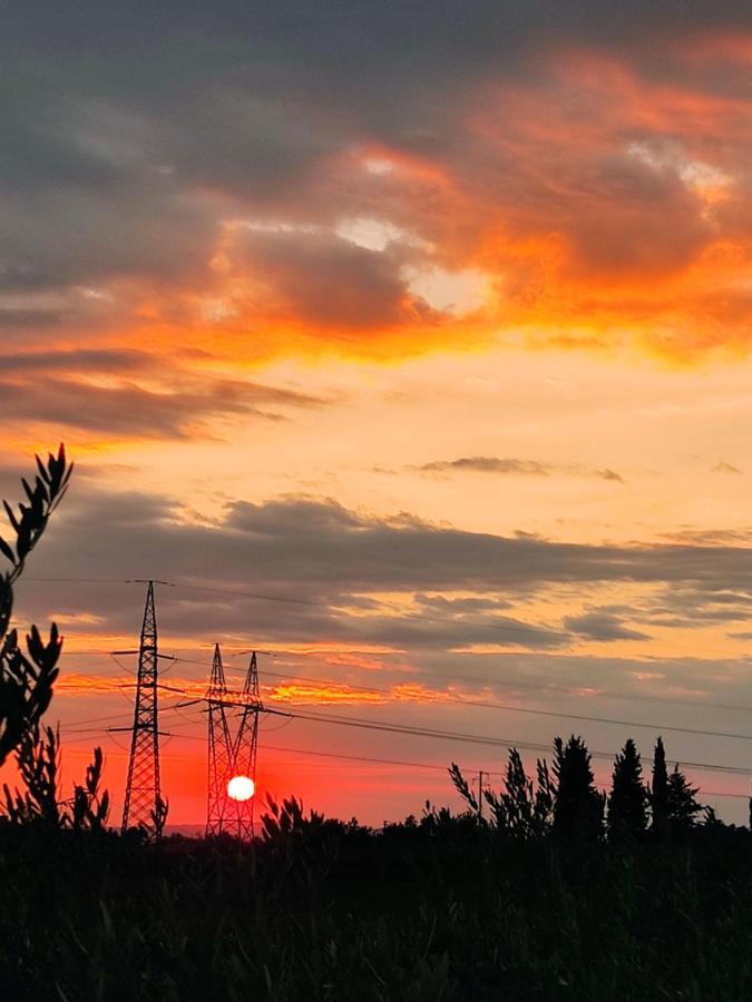 Le Zampolle B & B Colà Dış mekan fotoğraf