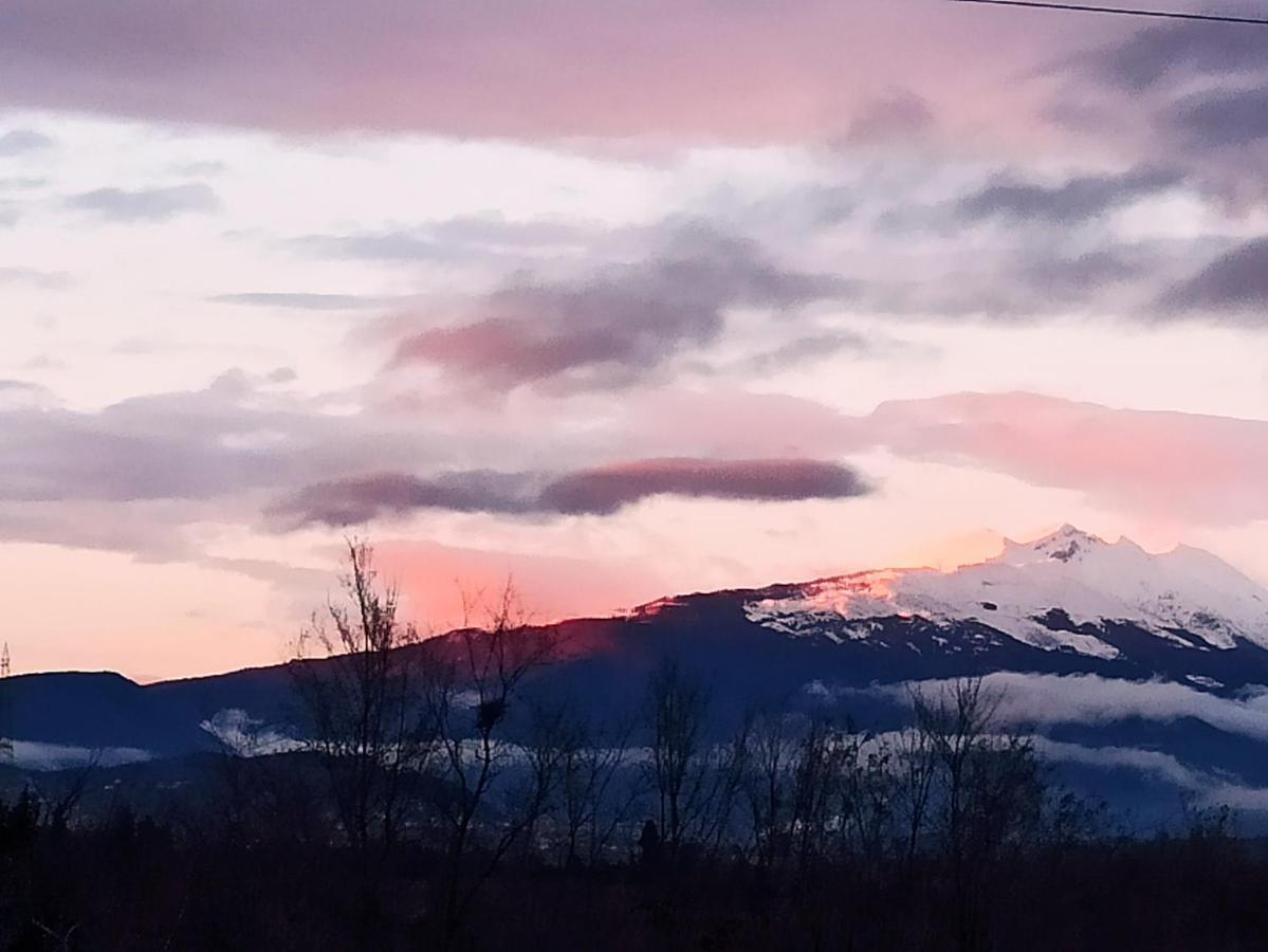Le Zampolle B & B Colà Dış mekan fotoğraf