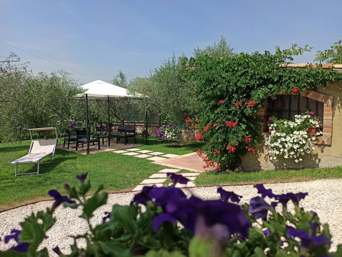 Le Zampolle B & B Colà Dış mekan fotoğraf